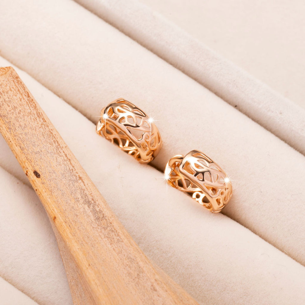 High quality earrings with elegant water drop design