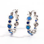 Earrings combine brilliance and delicacy, enhancing