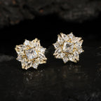 Elegant zircon earrings for women, high quality, fashionable